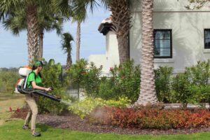 Mosquito Joe Service Professional treating yard for outdoor pests. 